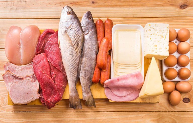 What Is Animal Protein & Why It Should Be Part Of A Balanced Diet?
