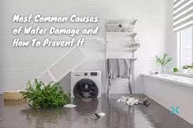  When Disaster Strikes: Exploring the Common Causes of Water Damage