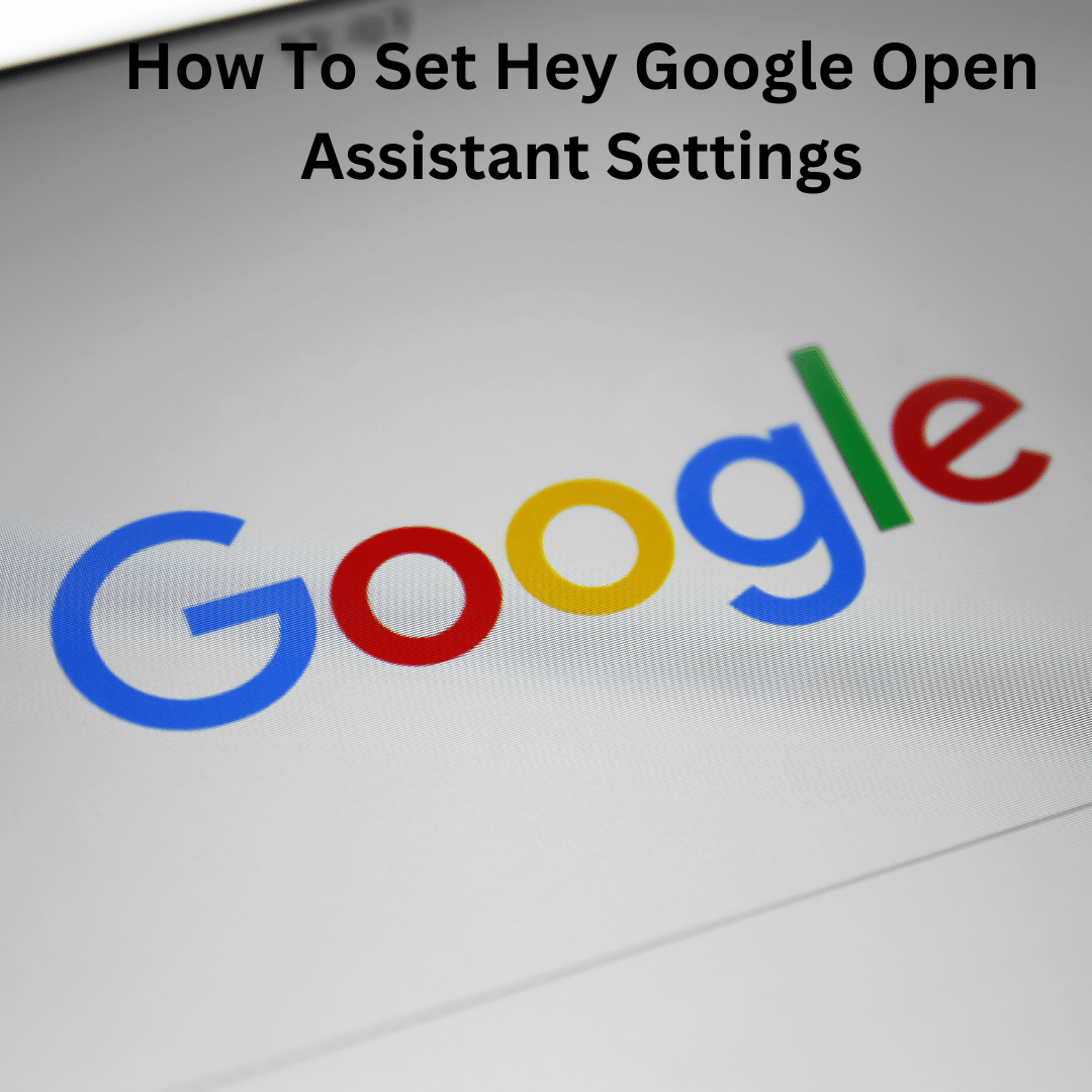 How To Set Hey Google Open Assistant Settings
